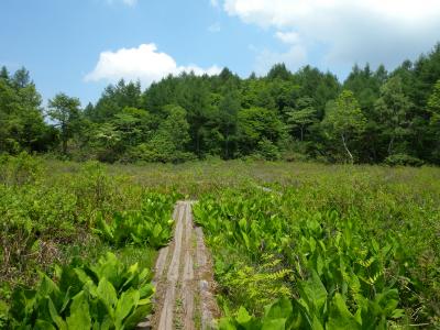 2回目の信越トレイル