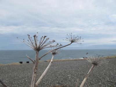 北海道の春は遅かった【1日目.襟ぃ裳の春うわぁ～】