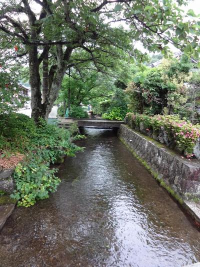 滋賀県湖北＆湖東１泊２日の旅（２）　米原市～醒井宿散策・天の川ほたるまつり～