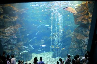 赤ちゃん＆子連れで行く京都水族館