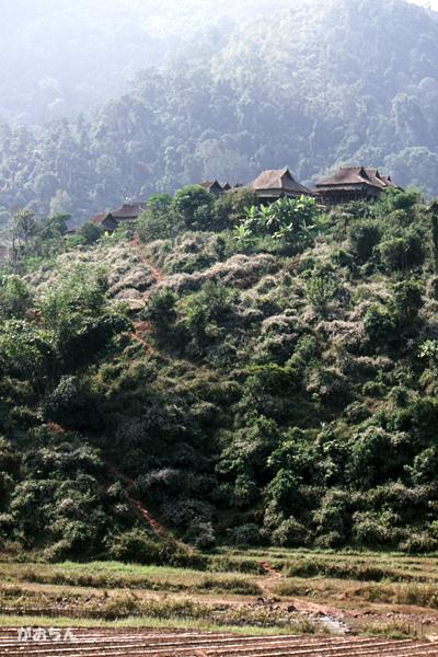 熱帯雨林に暮らす人々・克木人とハニ族を訪ねて～西双版納の旅1991