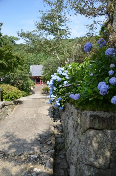 紫陽花の咲く寺を訪ねて in Nara 