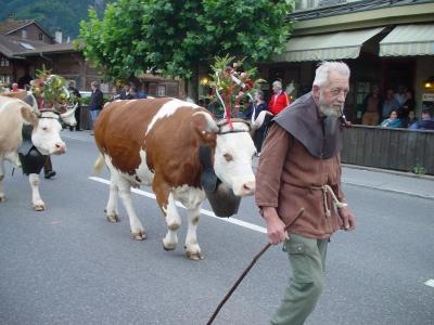 やってきたぜ！！　２００７　スイス　『インターラーケン～シーニゲプラッティへ向かう車窓からの景色はきれいだぜ♪シーニゲプラッティへ向かう発着駅・ヴィルダースヴィル駅の街はお祭り中♪』 ＩＮ　シーニゲプラッティ