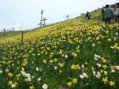 びわ湖花街道絶景日本一ロープウェイと近江八幡水郷めぐり2012