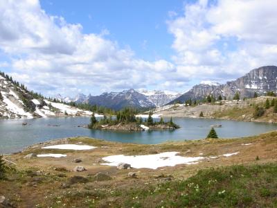 カナダ旅行記⑥　開山したてのサンシャインメドウのハイキング♪～お花畑を夢見て～