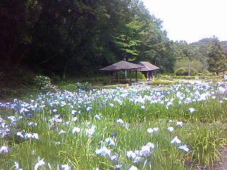 二宮せせらぎ公園