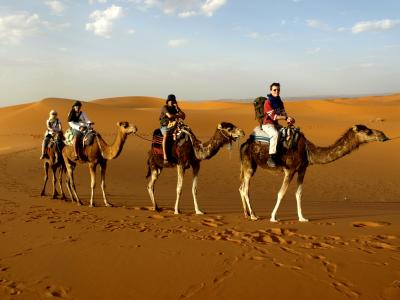 サハラ砂漠を目指してモロッコ一人旅３*・゜・*月明かりの下でキャンプ／サハラ砂漠*・゜・*
