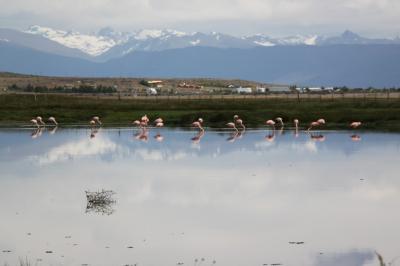 エルカラファテ散策（ニメス湖）