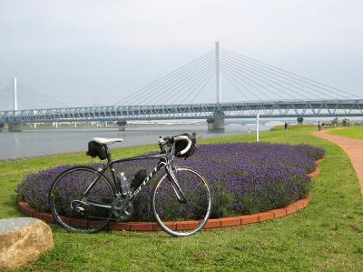 ちょこっと荒サイを河口まで往復サイクリング