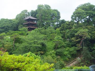 椿山荘 ・　雨の庭園とお祝いの会食