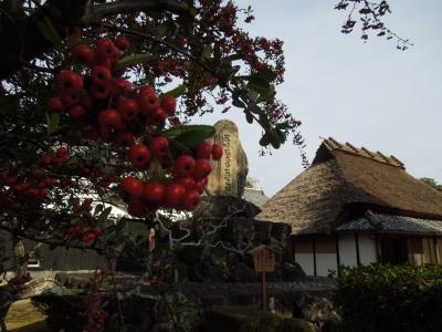 年末の家族旅行は高知へ　安芸タイガース球場と野良時計の街をのんびりと編