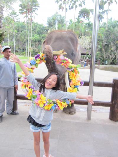 ☆Elephant Safari Park Lodge☆AUG 2011