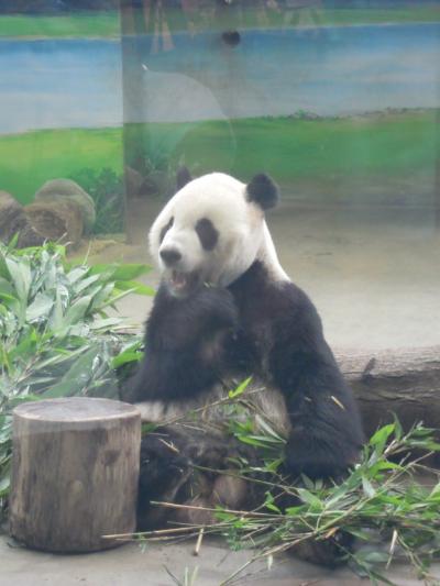 凸凹トリオで行く! 夏先取り台湾! 1日目