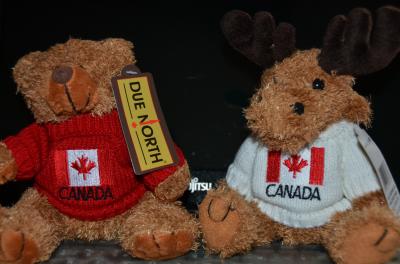 北米大陸初上陸・カナダ③レイクルイーズのサンライズからカナディアンロッキー観光＆バンフ