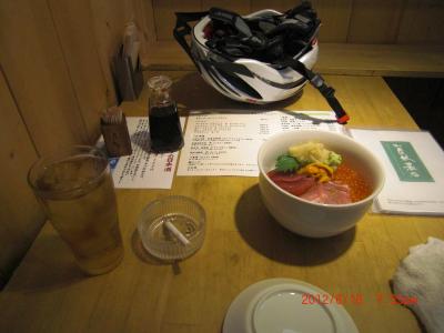 電動自転車　パナソニック ジェッター 「お台場　サイクリング　ポタリング　２」