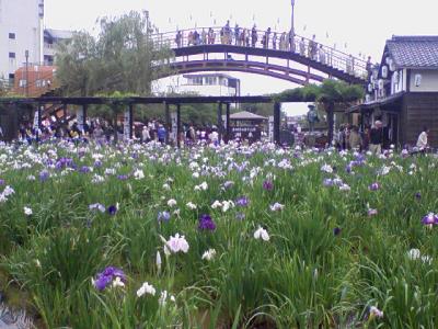 潮来のあやめと佐原の街並み