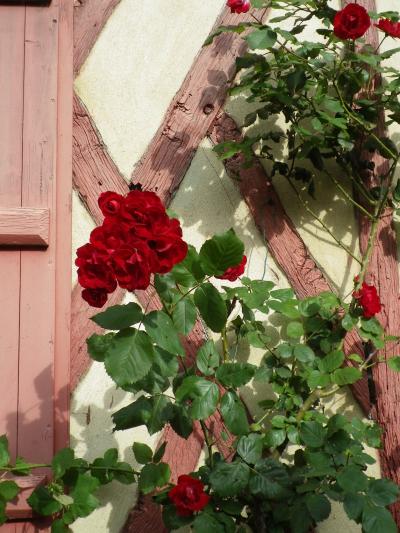 ジェルブロワのバラ祭り 2012 / ROSE Festival @ Gerberoy
