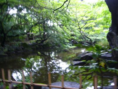 飛鳥山公園のアジサイを見に…