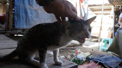 インレー湖の拠点、田舎町ニャウンシュエ　その壱