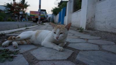 インレー湖の拠点、田舎町ニャウンシュエ　その弐