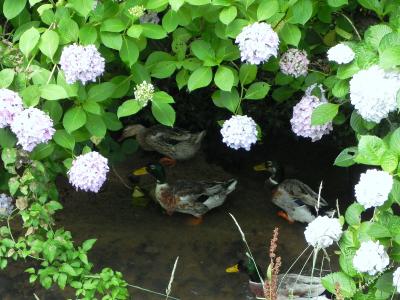 梅雨の晴れ間に、ぶらり下関＾＾