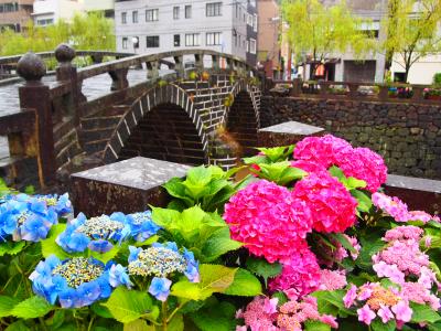 ながさき紫陽花（おたくさ）まつり