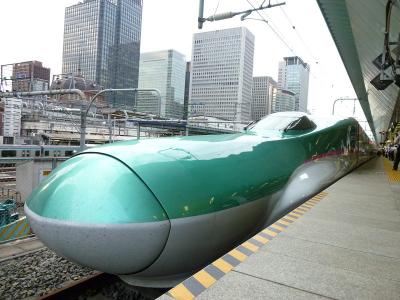 JR東日本　東北新幹線　E5系 やまびこ 　 東京都　-5