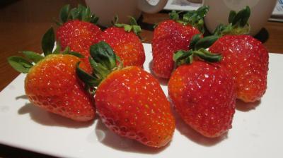 JALマイルで夫婦二人旅