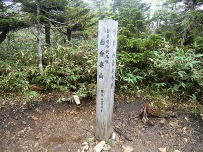 2012年6月　吾妻山（西吾妻山）(76)、白布温泉、米沢