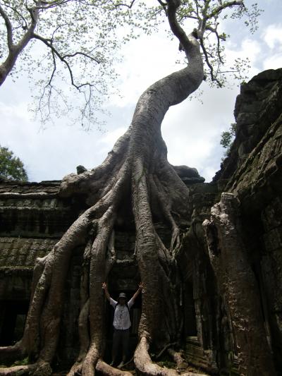 【カンボジア】遺跡巡り　4day2　～アンコール・ワットとタ・プローム～