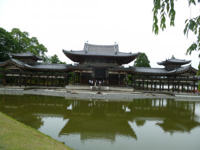 宇治平等院から アジサイ咲く三室戸寺へ
