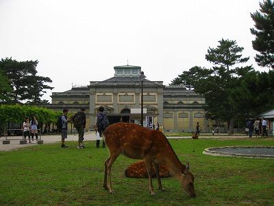 2012初夏の遠足＠奈良★影絵＆ならまち★ゆったり時間