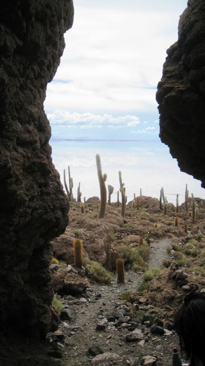 天空の都市と天空の鏡に逢いに8年ぶりの南米へ!! ⑯空と大地の出逢う場所・ウユニ塩湖~インカワシ編~