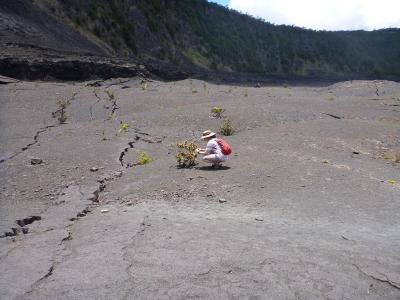 ハワイ島　キラウエア・イキ・トレイルで地熱パワーを感じる。（ボルケーノ）（2012.6）