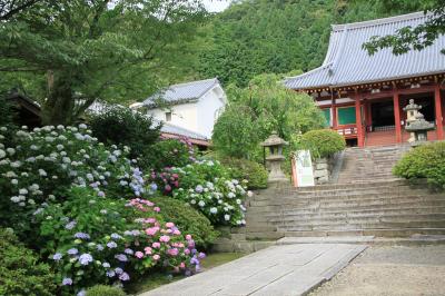 高野山へ行こう　1～矢田寺に寄り道～