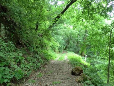 歩く!木曽路②奈良井宿~原野