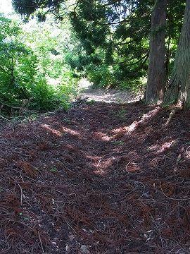 【手掘りトンネル　中山隧道】　先人の苦労を偲んで中山峠を歩く　あやうく遭難しそうになりました