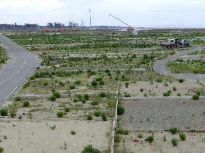 まだまだ傷跡が残っていました。