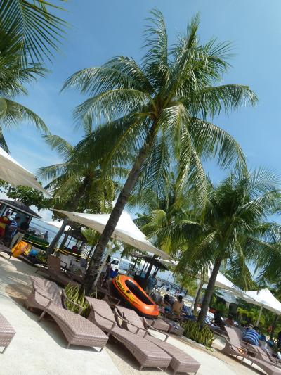 セブ島 グランマ&家族&いとこ・・・パパ留守番