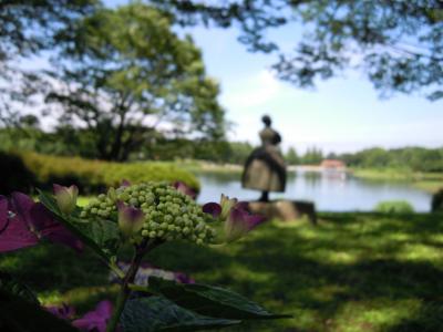 紫陽花散歩　　昭和記念公園