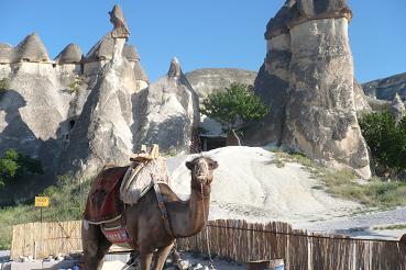 ベストシーズンTURKEY♪