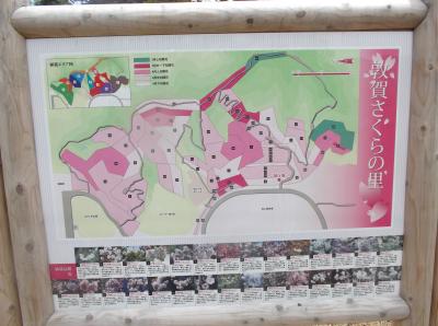 2012初夏季節を求めて散策(*^。^*)敦賀市運動公園周辺