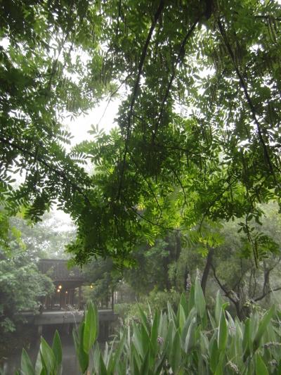 へっぽこ中国語で体当たり杭州　Day1 雨！雨！大雨！曲院風荷