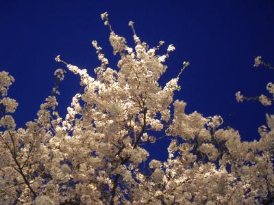 ＧＷ東北・北海道（函館から青森へ）