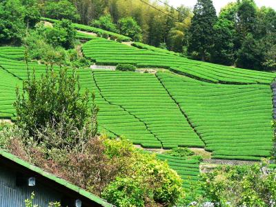 日本の旅　関西を歩く　京都府木津川市加茂町（かもちょう）の里山周辺