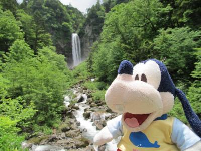 グーちゃん、なべなべの誕生祝に平湯温泉へ行く！（さわやか平湯大滝編)