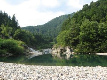 板取川の紫陽花と自然