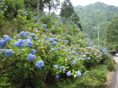 板取川へ