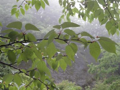 友人を訪ねて群馬バスの旅☆2泊3日