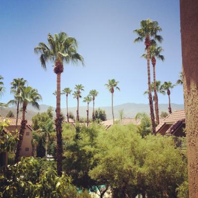 Palm Springs Resort